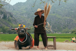 Vietnam-20